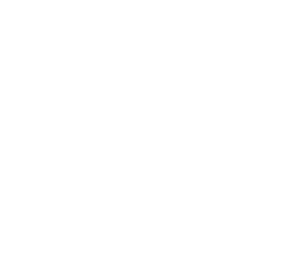 313 Pine Street Logo